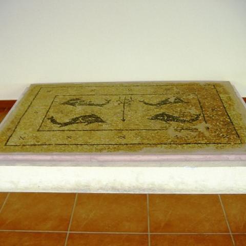 Archaeological Museum of Argostoli